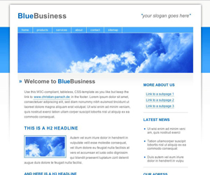 Web Design BlueBusiness