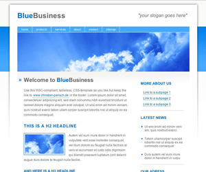 matrixsol BlueBusiness